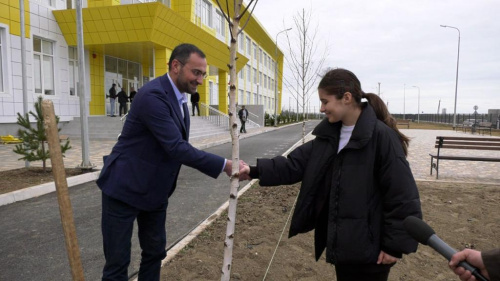 В новой школе  №14 идёт посадка деревьев  В новой школе  №14 идёт посадка деревьев